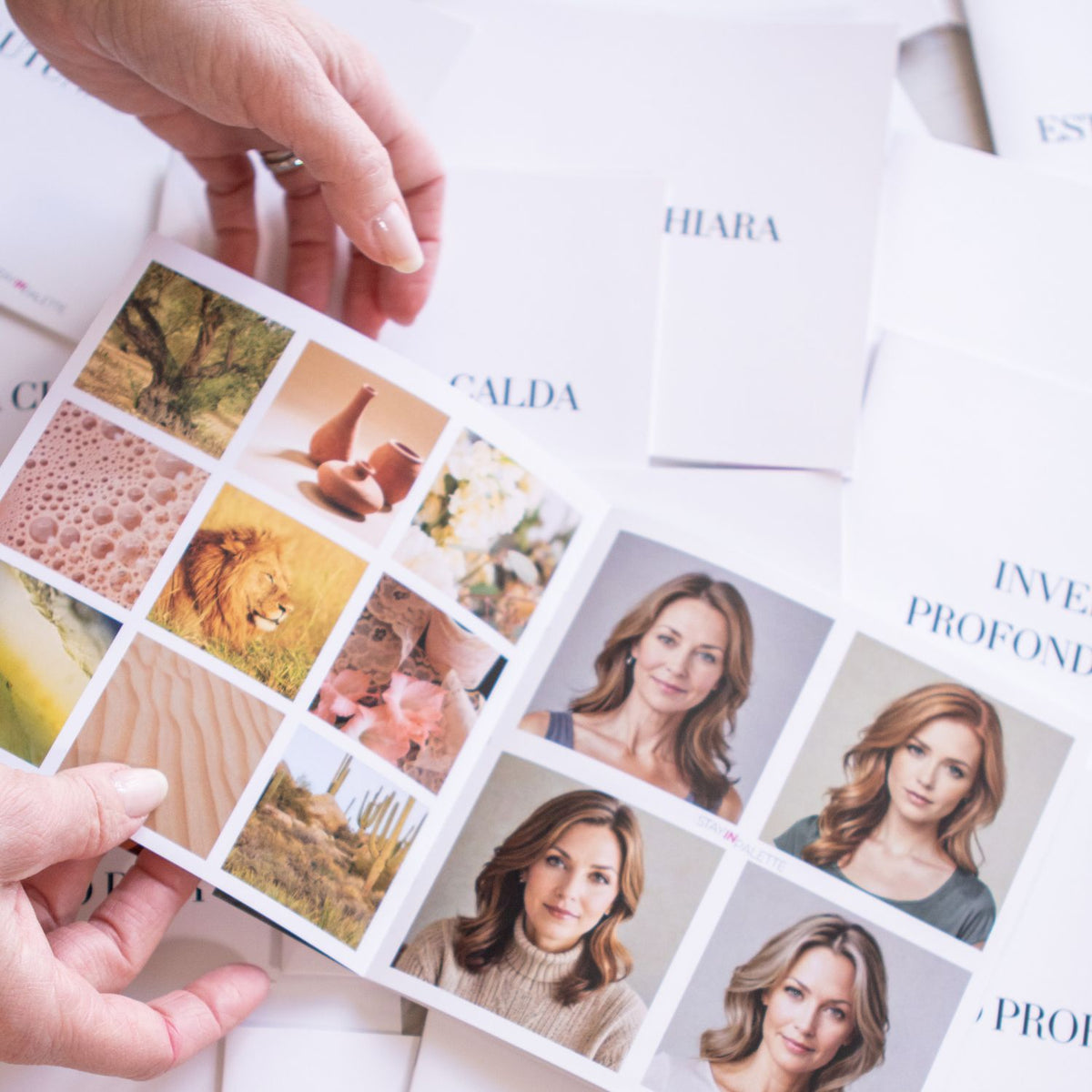 Armocromia Flash - Scopri la tua palette in una seduta personalizzata!